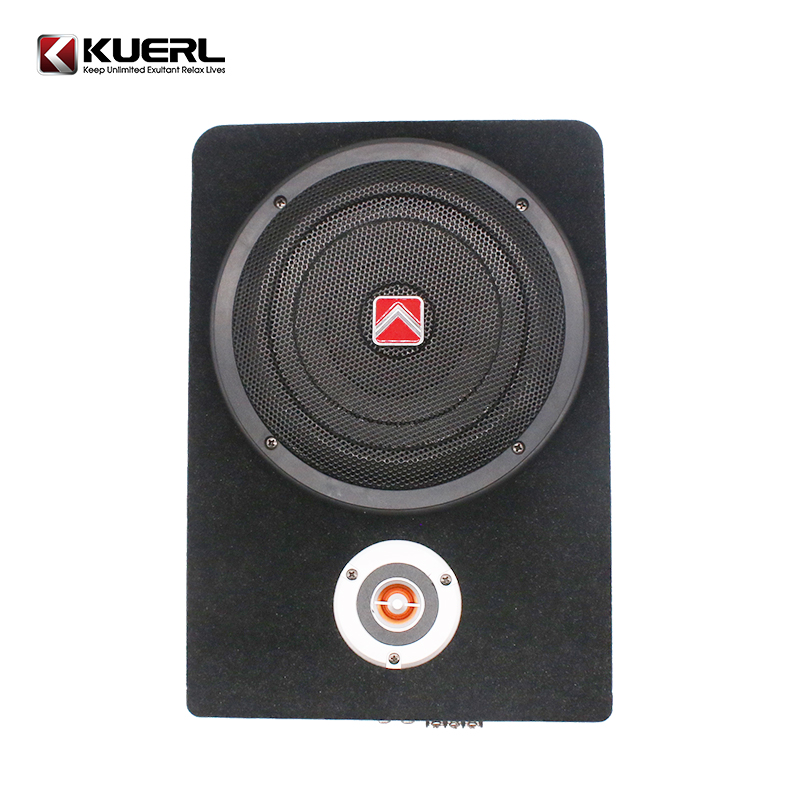 Hot Sale Car Audio Under Seat  - Under Seat Subwoofer Slim 8 Inch review and price