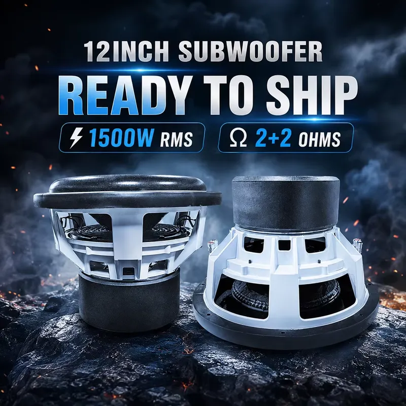 GRANVOZ 1500W 12 Inch Subwoofe - Car Subwoofer 12 Inch 1500W review and price