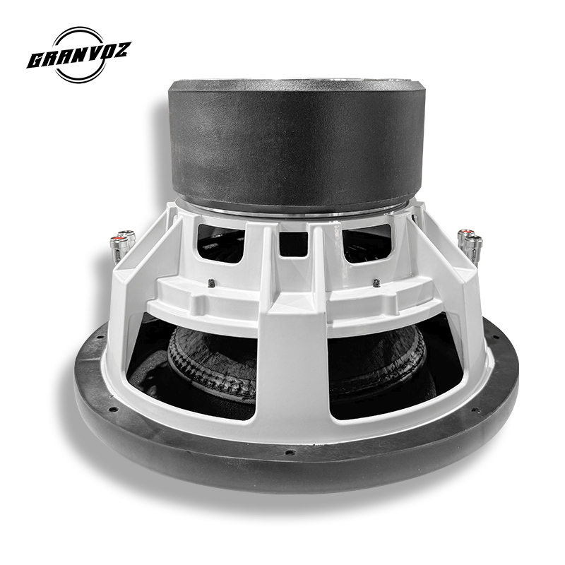 12-Inch Dual 2OHMS Car Subwoof - Car Subwoofer 12 Inch 1500W review and price