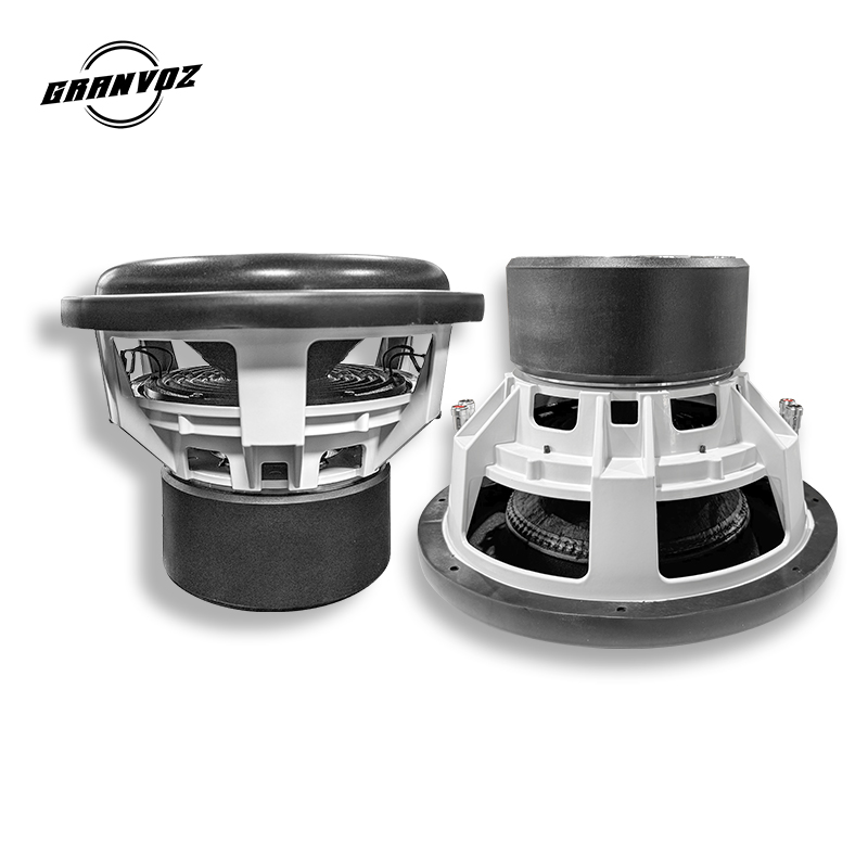 12-Inch Dual 2OHMS Car Subwoof - Car Subwoofer 12 Inch 1500W review and price