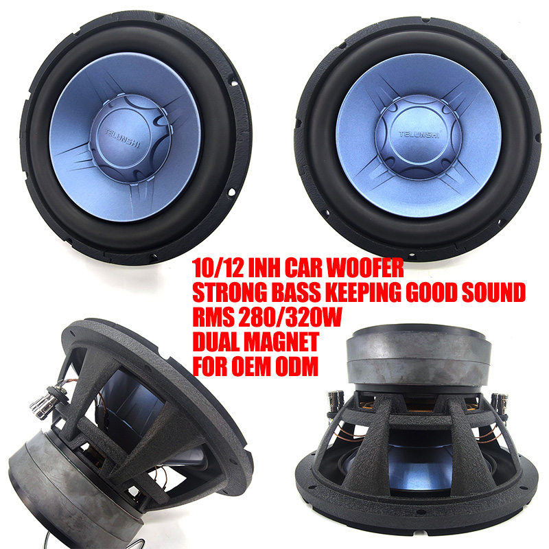 Factory Wholesale Strong Bass  - Car Audio Subwoofer 10 Inch Dvc review and price