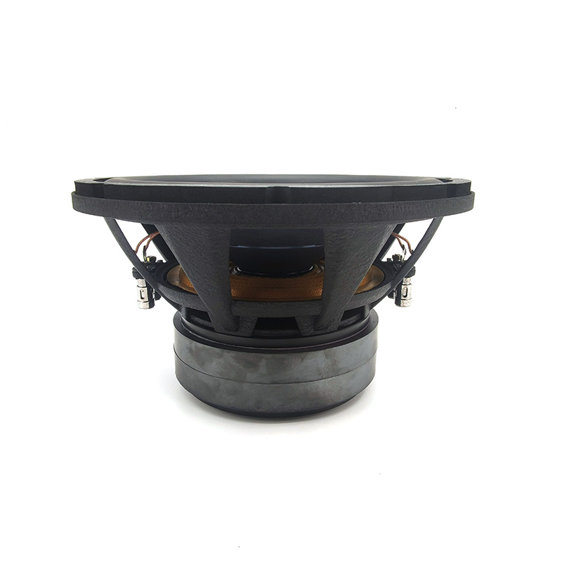 Factory Wholesale Strong Bass  - Car Audio Subwoofer 10 Inch Dvc review and price